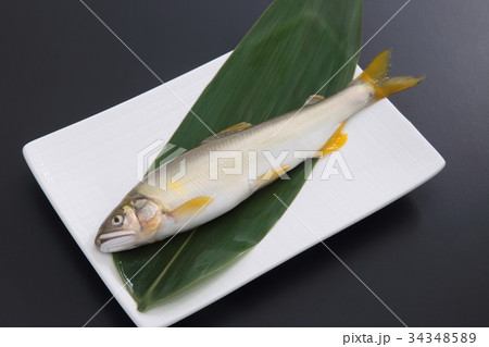 鮎 34348589