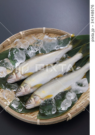 鮎 鮎 34348676