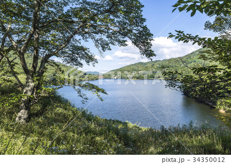 緑豊かな白竜湖風景 緑豊かな白竜湖風景 34350012
