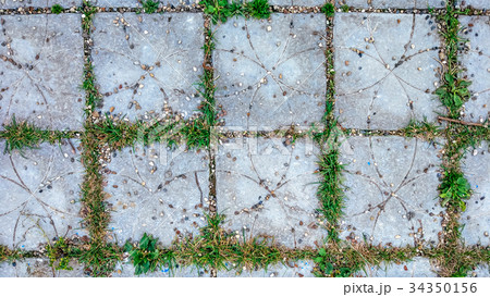 Tile in the city with small stones and grass 34350156