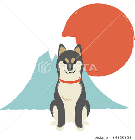 年賀素材・柴犬 34350353