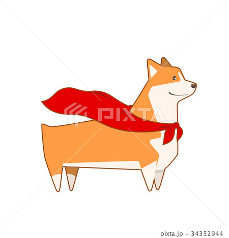 Welsh Corgi dog with superhero cape. Vector 34352944