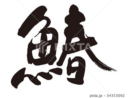 鰆　さわら　筆文字 34353092