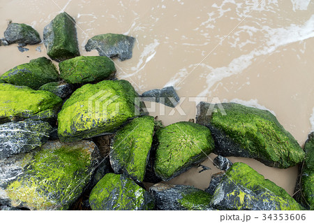 Green algae on rocks at the beach. 34353606