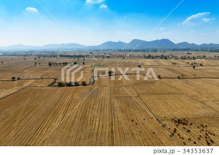 Fields in the summer 34353637