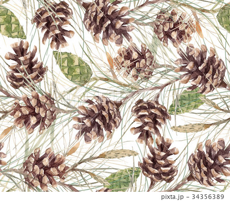 Watercolor fir cone pattern 34356389