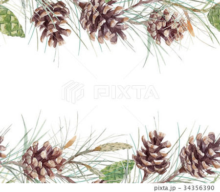 Watercolor fir cone pattern 34356390