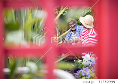 Smiling couple gardening seen through metallic structure Smiling couple gardening seen through metallic structure 34360999