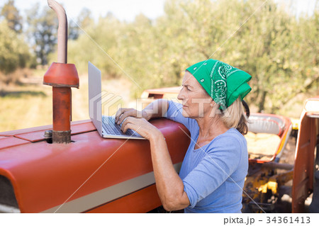 Woman using laptop in olive farm 34361413