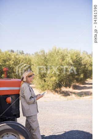 Woman using mobile phone in olive farm 34361590