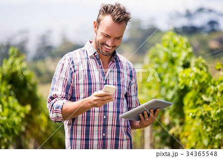 Man with digital tablet using mobile phone at vineyard 34365548