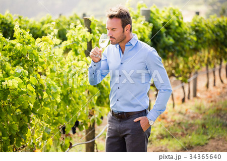Handsome man drinking wine 34365640