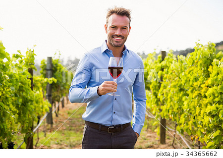Portrait of man holding wineglass at vineyard 34365662
