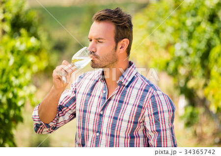Man drinking wine Man drinking wine 34365742