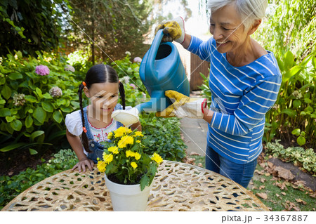 Girl looking while smiling senior woman watering yellow flowers on table Girl looking while smiling senior woman watering yellow flowers on table 34367887