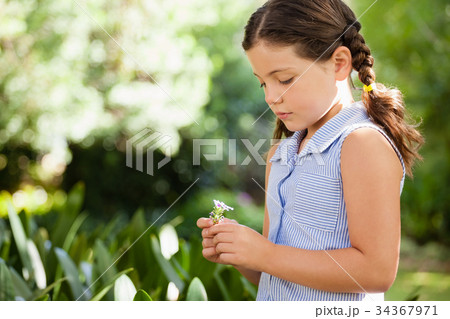 Girl holding flower standing at backyard Girl holding flower standing at backyard 34367971