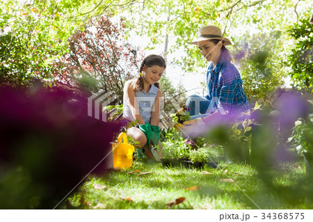 Smiling mother with daughter looking at potted plants Smiling mother with daughter looking at potted plants 34368575