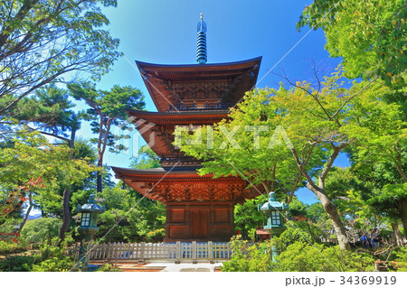 豪徳寺　三重塔 34369919