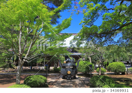 豪徳寺　仏殿 34369931