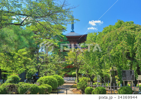 豪徳寺　三重塔 34369944