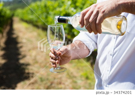 Mid section of vintner examining wine 34374201