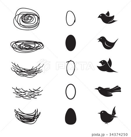 Bird Nest : r/drawing