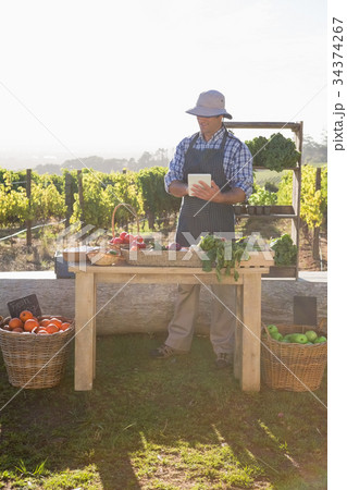 Man using digital tablet at vegetable stall Man using digital tablet at vegetable stall 34374267