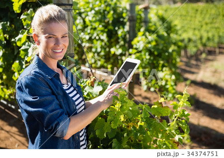 Portrait of female vintner using digital tablet in vineyard 34374751