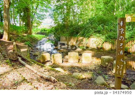 東京の名湧水57選（黒目川天神社前） 34374950