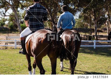 Two male friends riding horse in the ranch Two male friends riding horse in the ranch 34377684