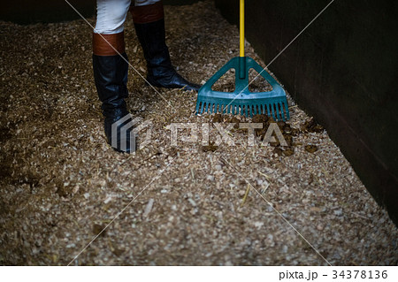 Man using broom to clean the stable Man using broom to clean the stable 34378136