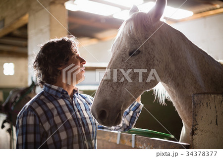 Man caressing the brown horse in the stable Man caressing the brown horse in the stable 34378377