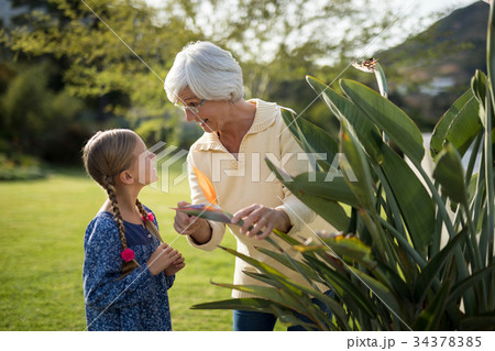 Granddaughter and grandmother looking at a yellow flower on the plant Granddaughter and grandmother looking at a yellow flower on the plant 34378385