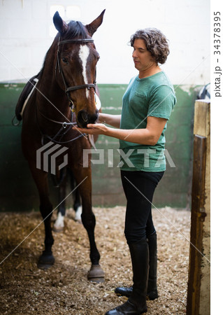Man caressing the brown horse in the stable Man caressing the brown horse in the stable 34378395