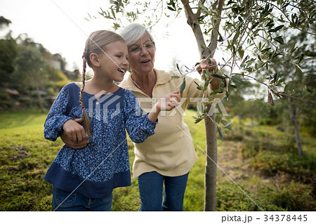 Granddaughter and grandmother touching tree in garden 34378445