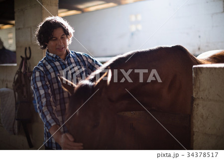 Man caressing the brown horse in the stable 34378517
