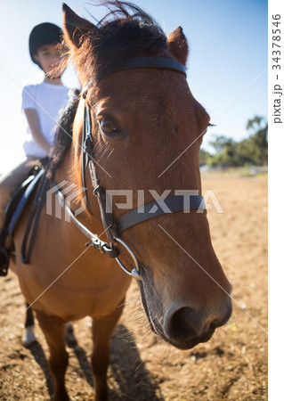 Girl riding a horse in the ranch Girl riding a horse in the ranch 34378546