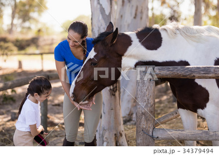 Woman assisting sister for cleaning horse 34379494