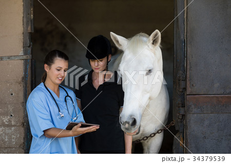 Vet showing digital tablet to jockey while standing by horse 34379539