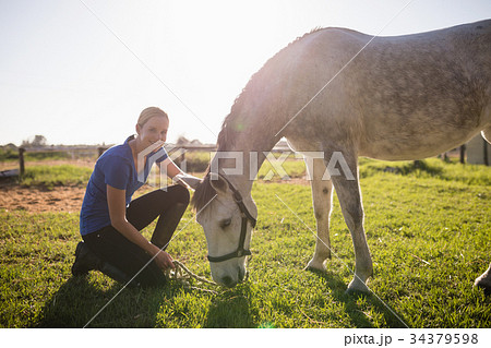Portrait of smiling jockey stroking horse at barn Portrait of smiling jockey stroking horse at barn 34379598