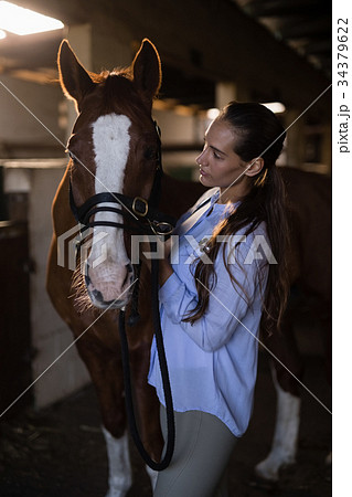 Female vet examining brown horse 34379622