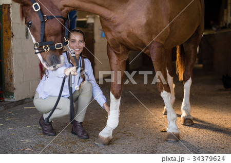 Female vet examining horse in stable 34379624