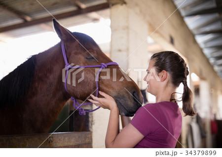 Side view of female jockey holding horse head 34379899