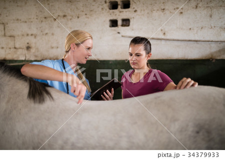 Female vet showing tablet computer to woman standing by horse Female vet showing tablet computer to woman standing by horse 34379933