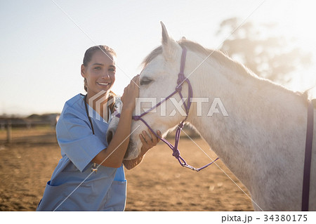 Smiling female vet stroking horse at barn Smiling female vet stroking horse at barn 34380175