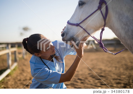 Female vet examining horse mouth Female vet examining horse mouth 34380178