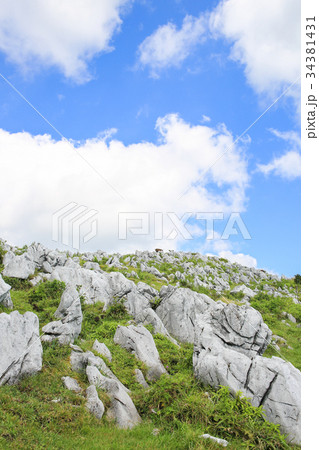 四国カルスト　五段高原の風景 34381431