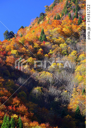 里山の紅葉 34381722
