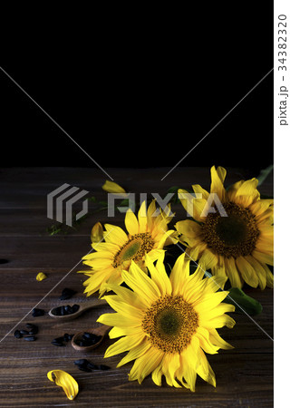 yellow sunflowers with seeds 34382320