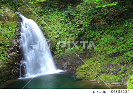 赤目四十八滝　不動滝 34382584